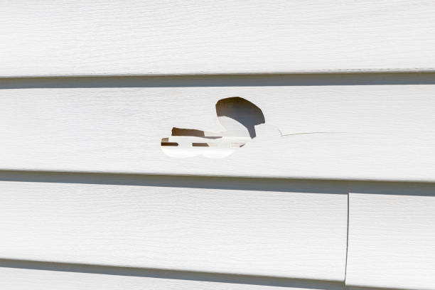 Best Vinyl Siding Installation  in Springdale, MD